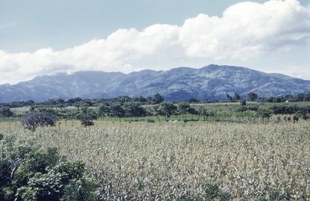 Costa Rican highlands near San José 2 of 2