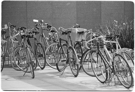 Bicycles in front of Biomedical Library