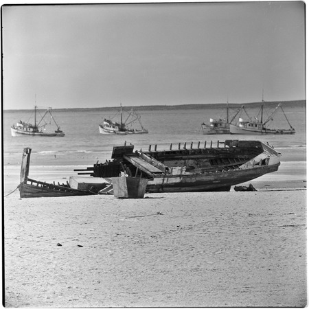 Shrimp boats at Puerto Peñasco