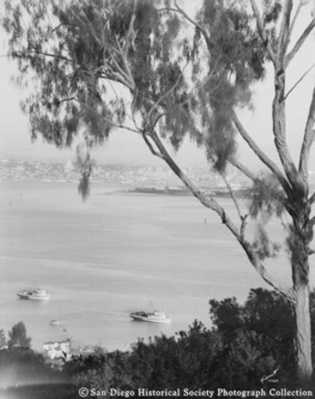 View from Point Loma of fishing boats on San Diego Bay, with tree on right