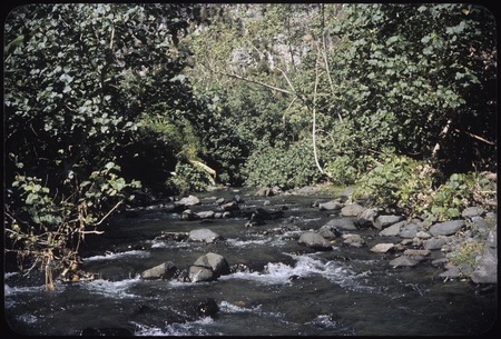 Orofere Valley, Tahiti: stream