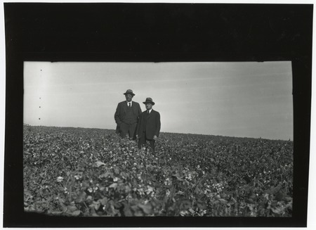 Ed Fletcher and unidentified companion, standing in field