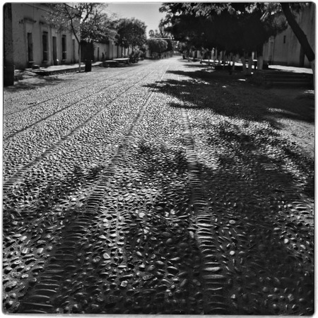 Cobble stone street in the Los Mochis area