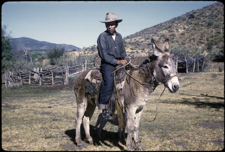 Pedro Quintana, Escondido cattle ranch