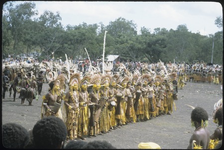 Port Moresby show: dancers with kundu drums