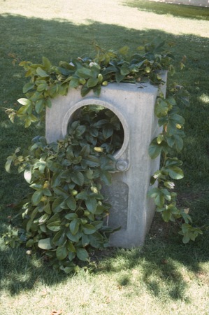 Something Pacific: detail: concrete cast of a television set with passion vine growing through it