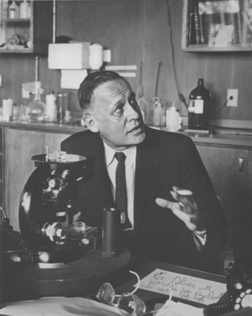 Portrait of Roger Revelle at microscope, c1958