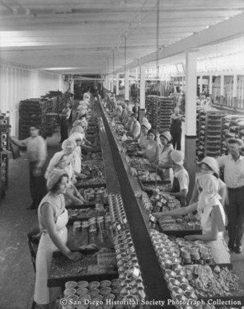Women canning tuna at Cohn-Hopkins Company