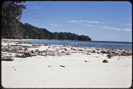 Beach with fringe of trees, Munuwata Island