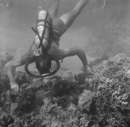 Diver near the ocean floor near Vava&#39;u Island group, Tonga