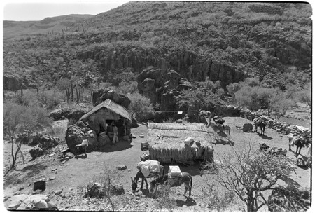 Rancho Las Jícamas