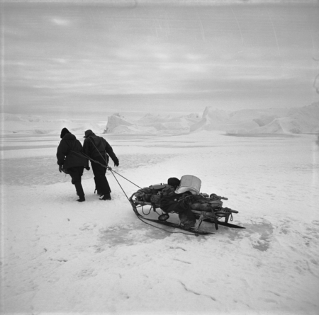 Scientists Eugene N. Gruzov (left) and Alexander F. Pushkin (right) pulling sledge with dive gear to the dive site