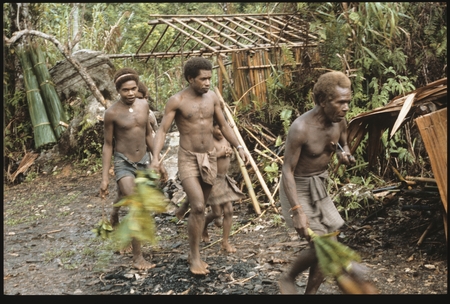 Maenaa&#39;adi and his older brother Dangeabe&#39;u, and young men entering clearing with cordyline on way to men&#39;s house.