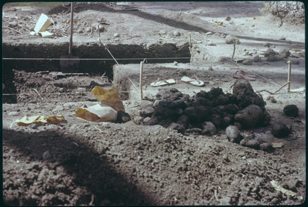 Archaeological excavation, Society Islands