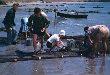 Carl L. Hubbs (center) and others, Forney Cove, Santa Cruz Island