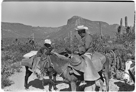Falluqueros, mounted merchants with strings of burros, bring dry-goods and staple foods into the sierras to trade for chee...