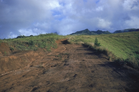 Dirt road, Tahiti
