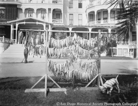 Catch of fish hanging on display in front of Hotel del Coronado