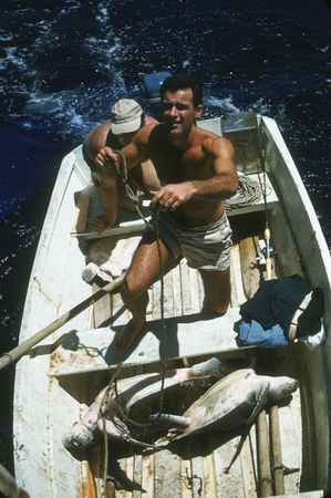 Bob Haines [in skiff with sea turtles]