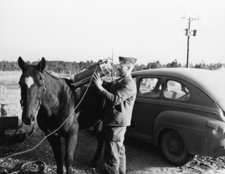 Soldier with horse and unidentified equipment at Alamogordo Air Base, New Mexico