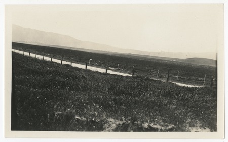 Fence and fields at Warner&#39;s Ranch