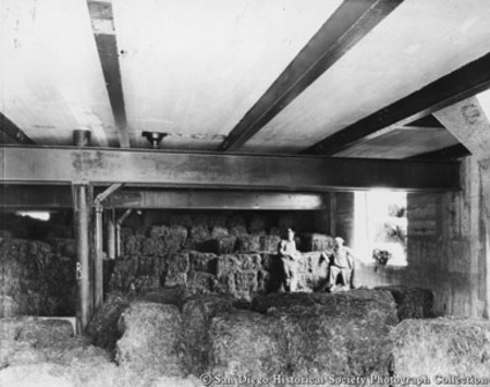 Two men standing in American Agar Company warehouse used for storing baled seaweed