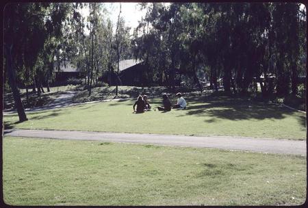 Students sitting on grass at Matthews Campus