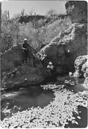 Water source at Rancho Las Jícamas