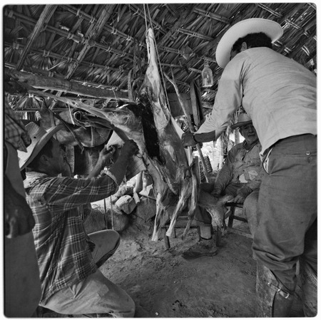 Butchering a goat at Rancho Santo Domingo