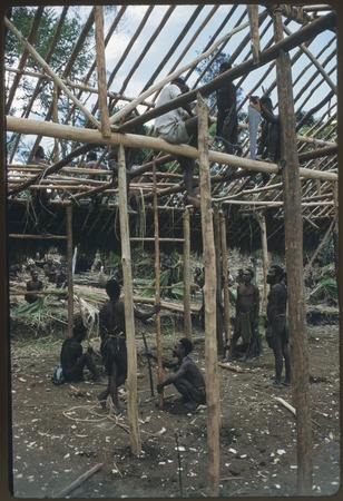 House-building: Kwiop men build frame for the Cooks&#39; house
