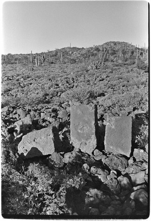 Telontle blocks at La Higuera along trail up Arroyo del Parral