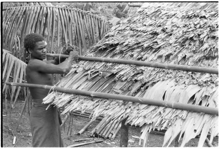 Putting bamboo poles across new thatch
