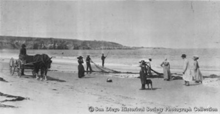 Fishermen with net, horse and wagon, and other people on La Jolla beach