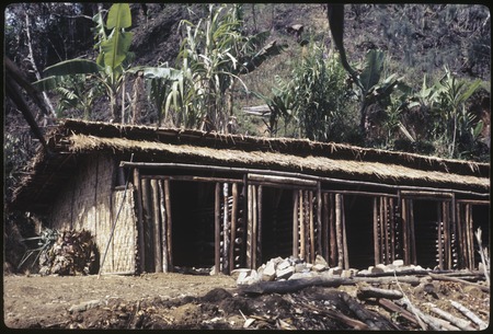 Pig house at Kwiop Duwai built as part of government project, intended to house a boar to improve local breeding stock