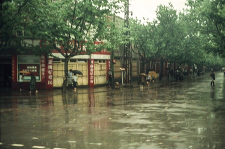 Street on Rainy Day