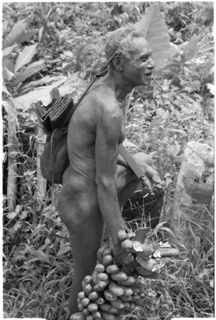 Tough old Bataafuna, in traditional male attire, brings plantains home for dinner.