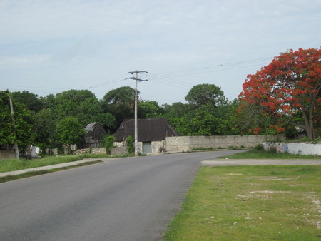 Oxholon Houses Parque Principal 02