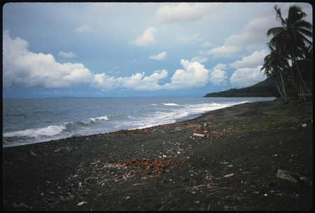 Beach scene landscape