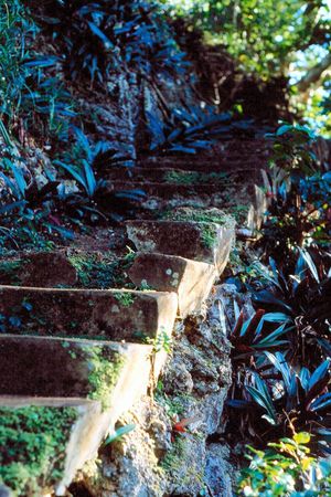 Stone Stairs on Iririki