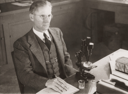[Martin W. Johnson seated at his microscope, Scripps Institution of Oceanography]