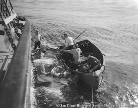 Fishermen on small boat preparing to empty net full of bait fish on to tuna boat
