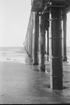 Scripps October 1946 [Scripps Pier]