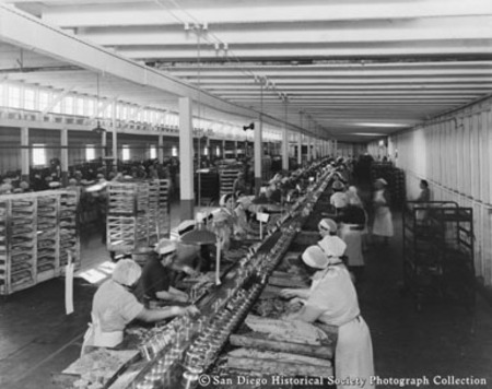 Interior view of Cohn-Hopkins Company showing women canning fish