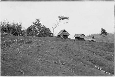 Megiranu, Wanuma Census Division: houses and garden