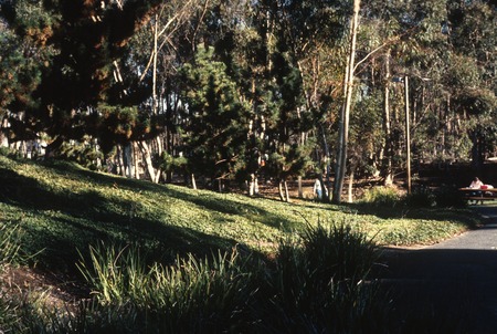 Trees: view of original site for the Silent Tree to the right of Geisel library entrance, before its installation; UCSD