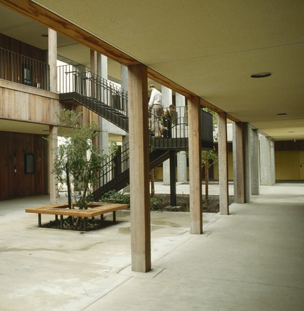 Medical Teaching Facility: exterior: courtyard offices