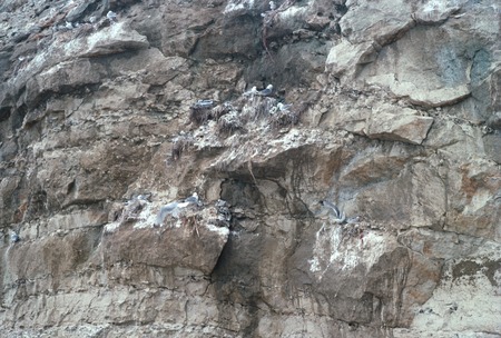 Stone side of exteriors of Chinhoyi Caves, Zimbabwe