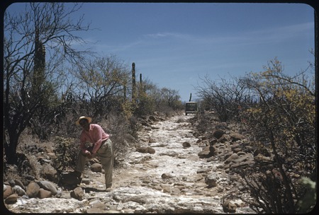 Old trail southeast of San Ignacio