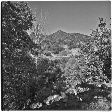 Terrain at Rancho La Victoria in Cape Sierra