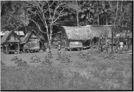 Mortuary ceremony:  yams are piled for distribution, bundles of sugarcane stand at right